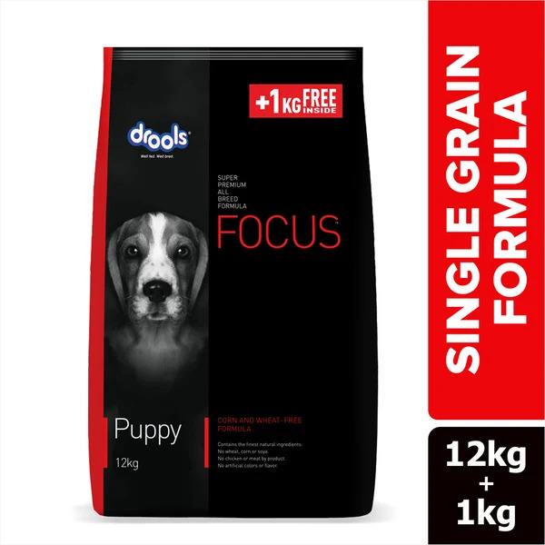 Focus Puppy