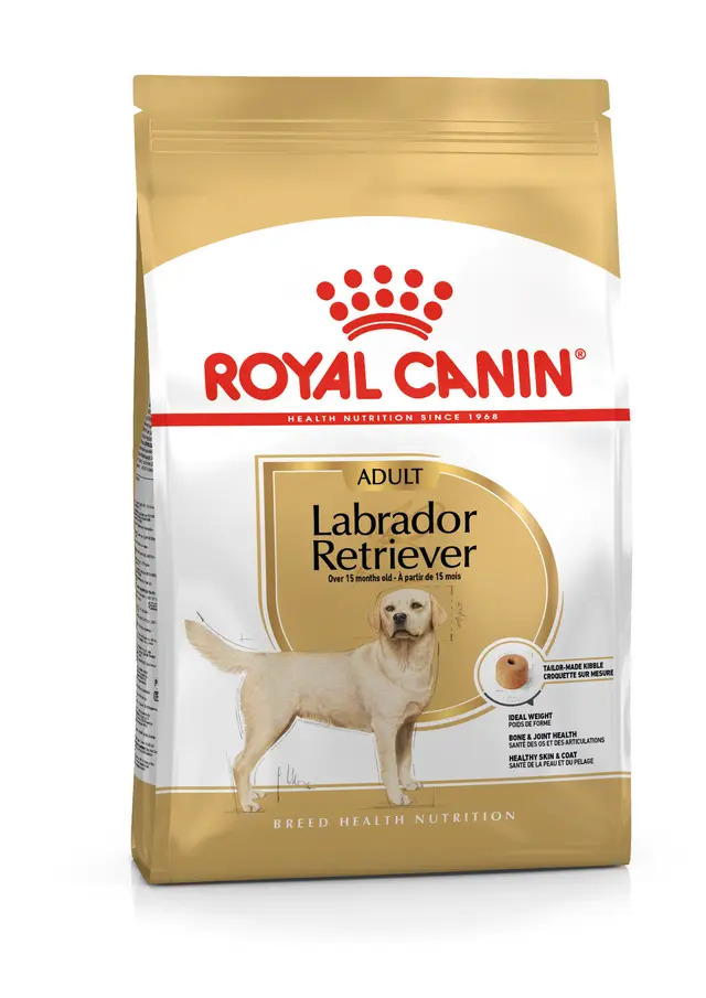 Labrador Retriever Adult Dry Food For Dog